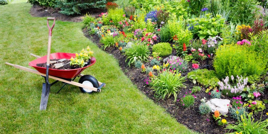 gardening services like maintenance