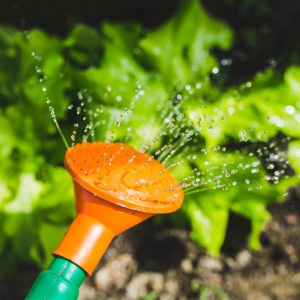 irrigation-gardening